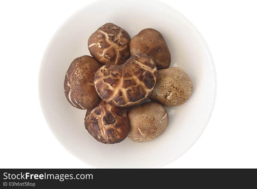 Shiitake mushroom isolated on white