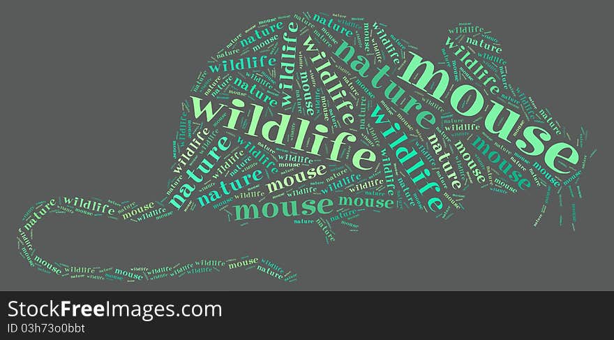 Wordcloud Of Rat