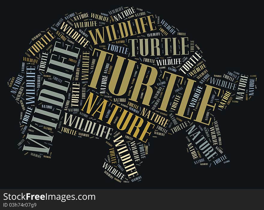 Textcloud of turtle