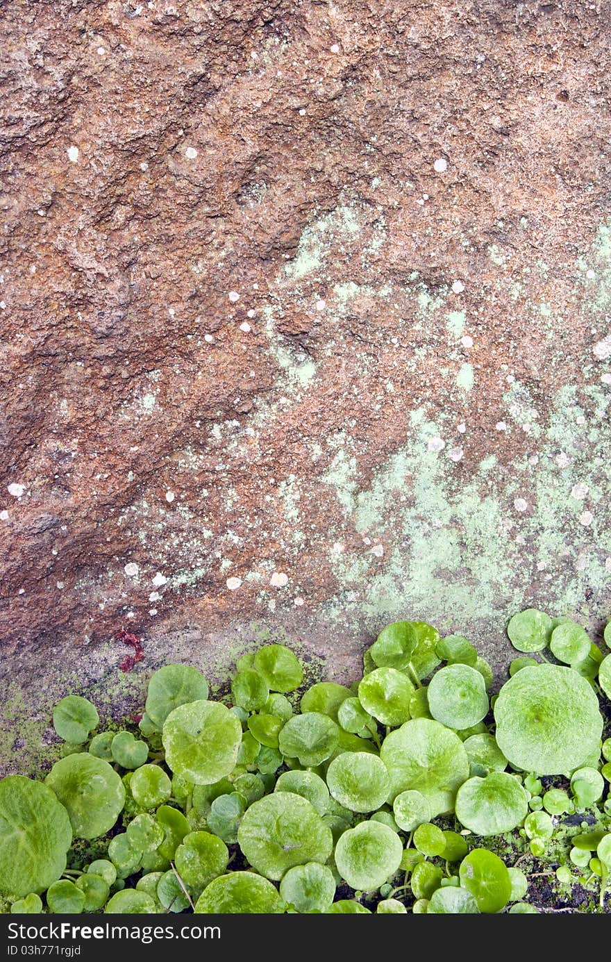 Textured wall