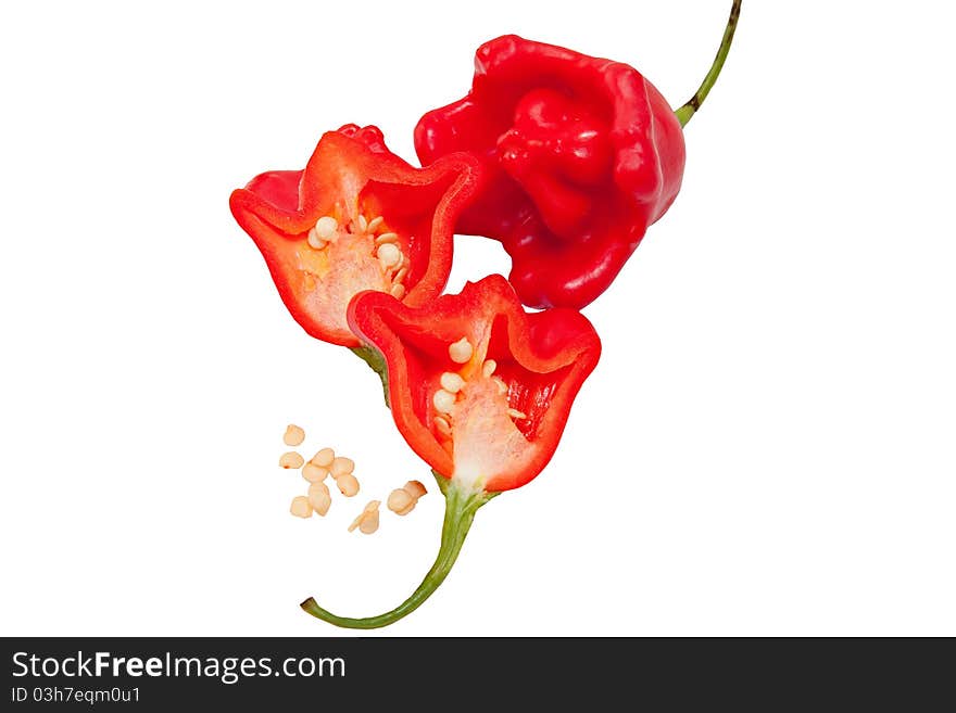 Flower shaped red chili peppers of Baccatum species isolated on white background, some cut through to show the seeds