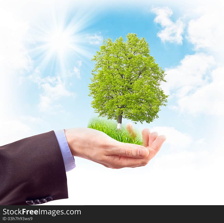 Human hand, grass and tree on sky background. Collage. Human hand, grass and tree on sky background. Collage.