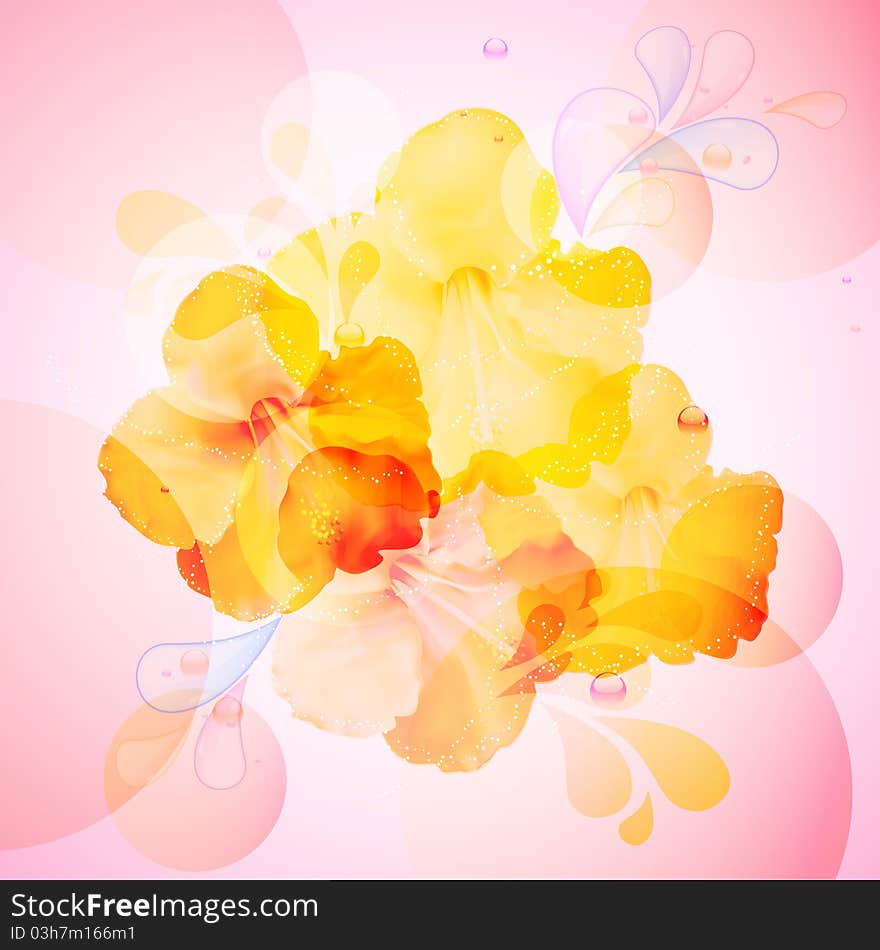 Hibiscus flowers on an abstract background with bubbles and splashes. Hibiscus flowers on an abstract background with bubbles and splashes