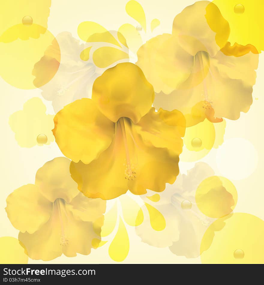 Yellow Hibiscus Flower Background