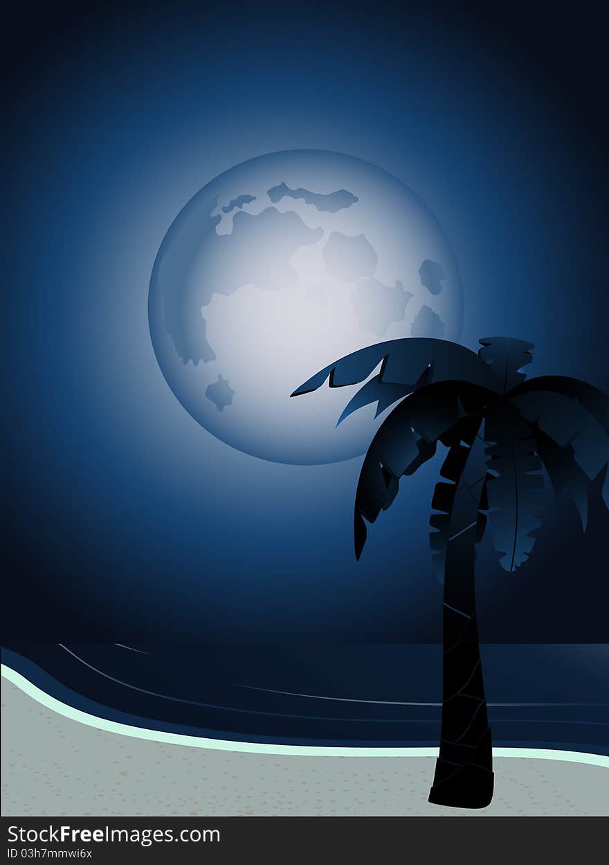 Palm tree on a beach at night with full moon. Palm tree on a beach at night with full moon