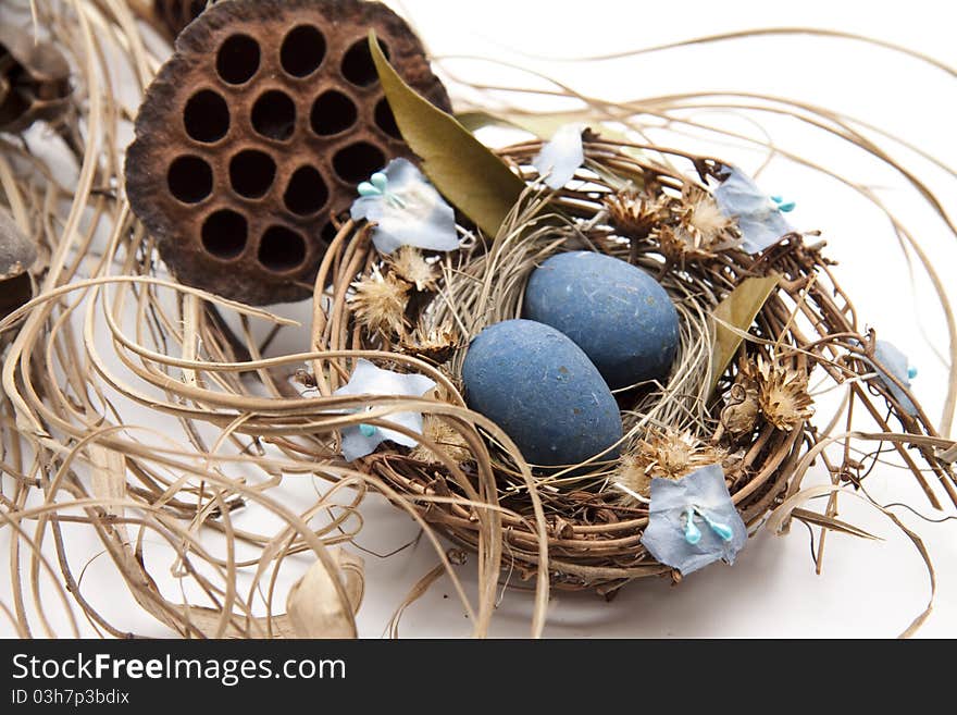 Bird nest with nest of eggs and dry flower