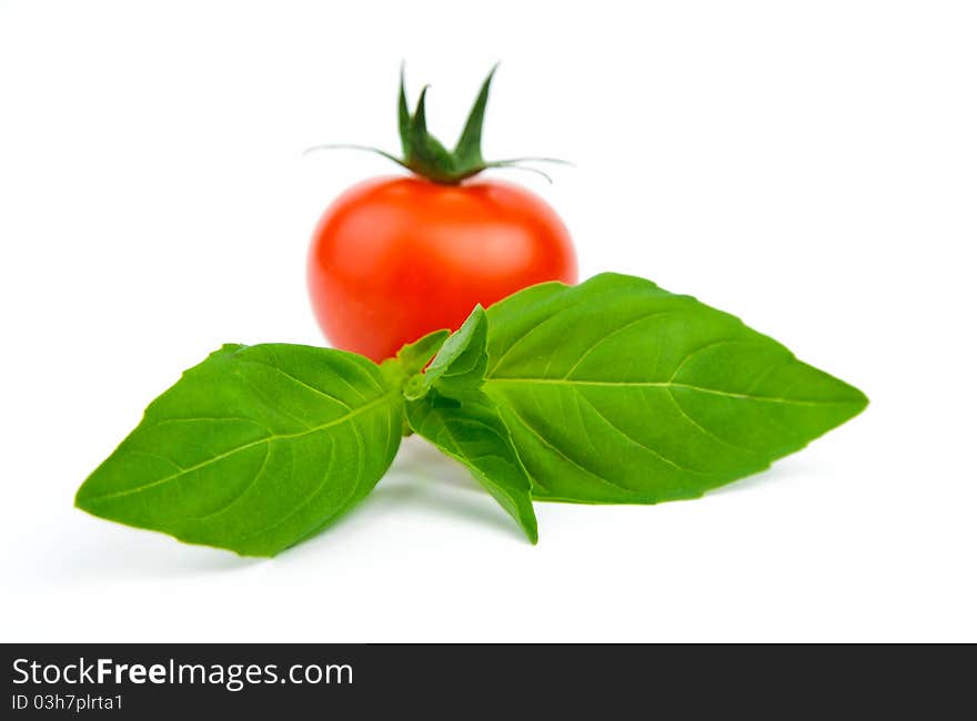 An image of basil leafs with tomato on white background