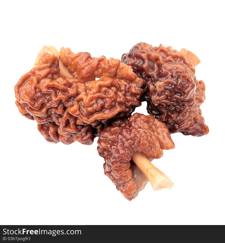 Isolated three morel. unusual mushroom