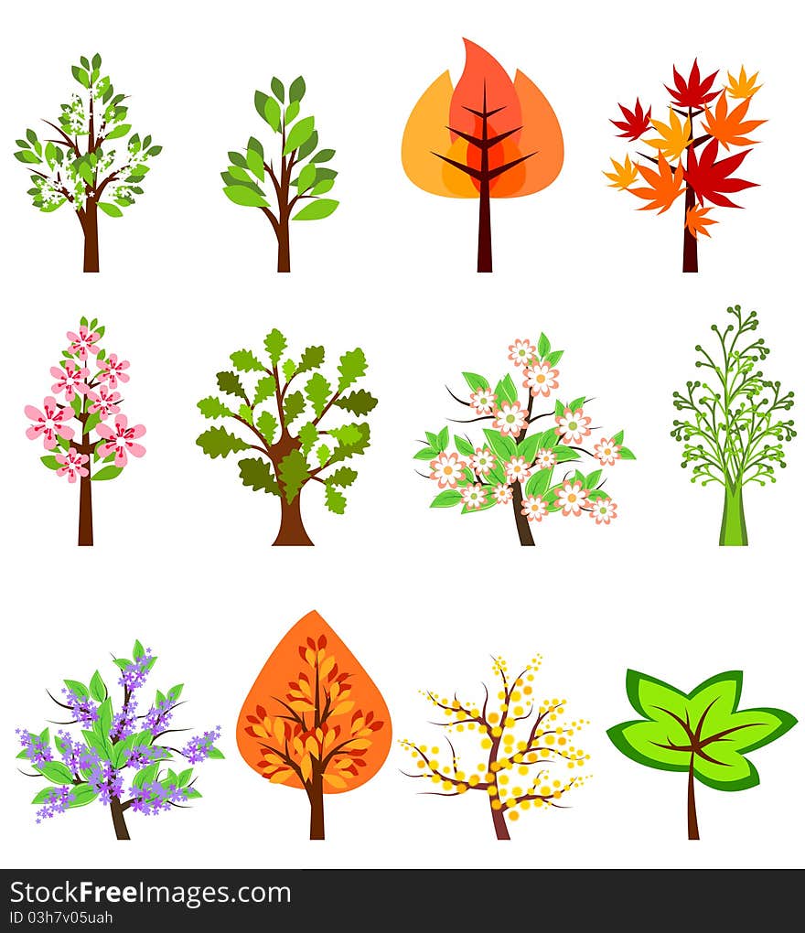 Set of different beautiful trees