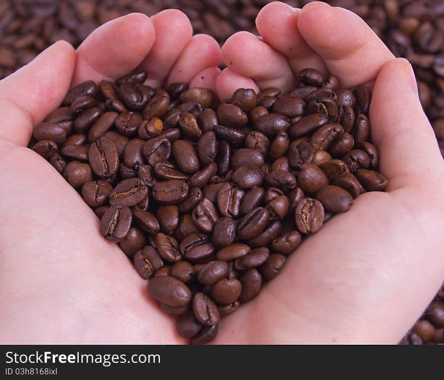 Roasted coffee beans in hands