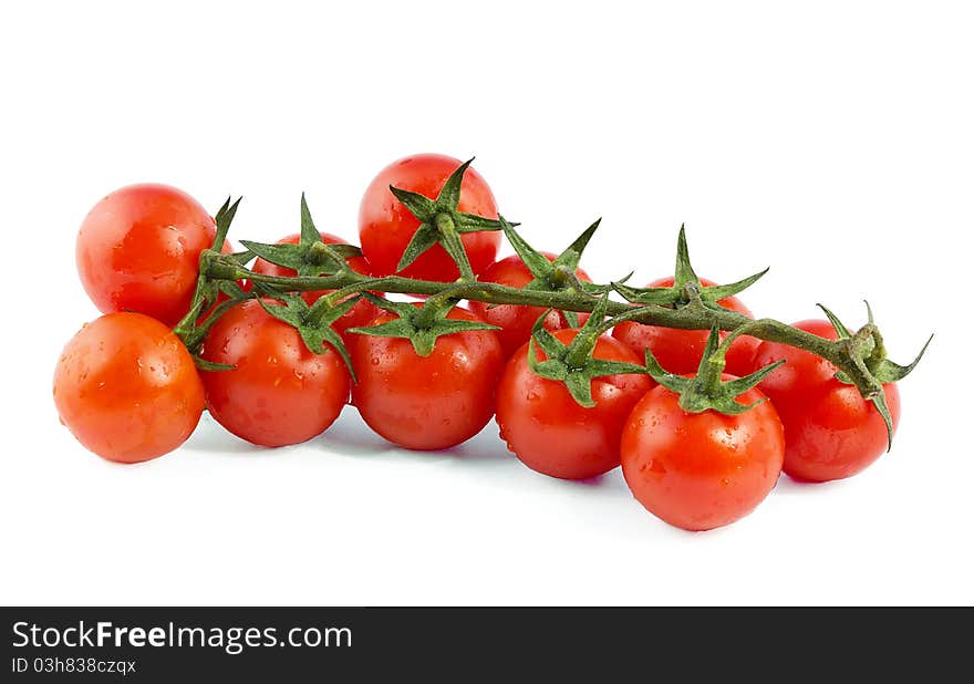 Tomatoes on a branch