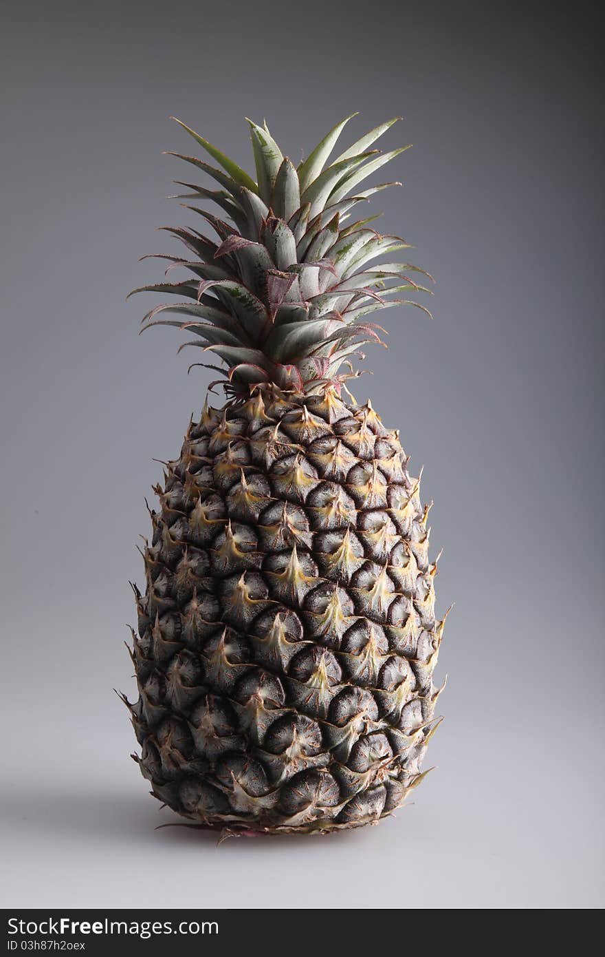 Pineapple