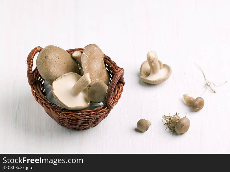 Little basket of mushrooms on white table. Little basket of mushrooms on white table