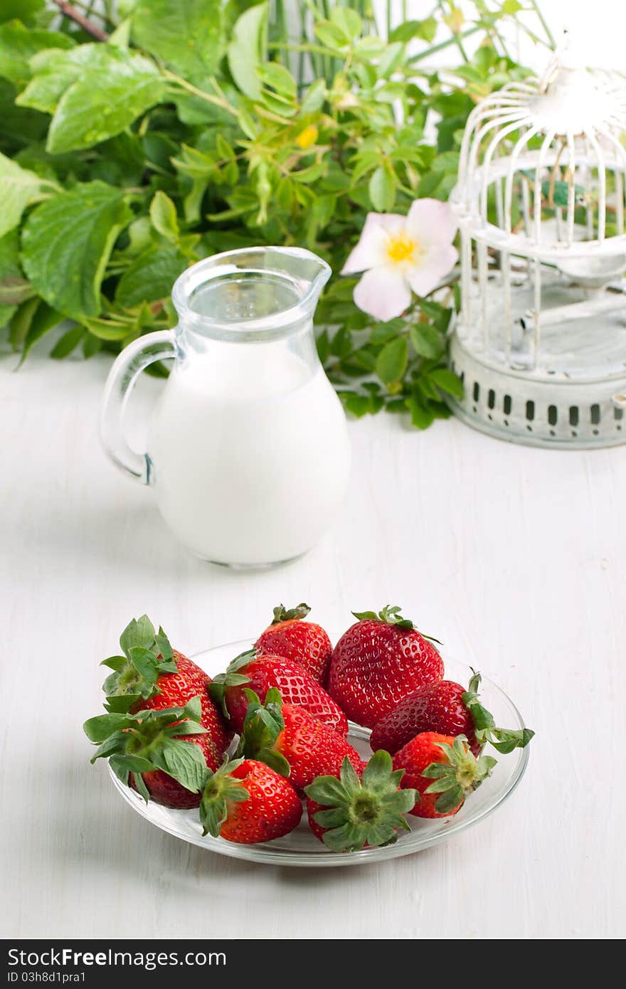 Plate with fresh strawberries and jug of milk on white table with old vintage cage and wild flowers