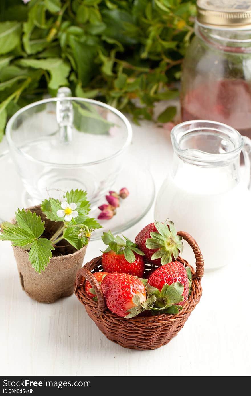 Little basket of fresh strawberries, blossom sprout, empty teacup and jug milk on white table. Little basket of fresh strawberries, blossom sprout, empty teacup and jug milk on white table