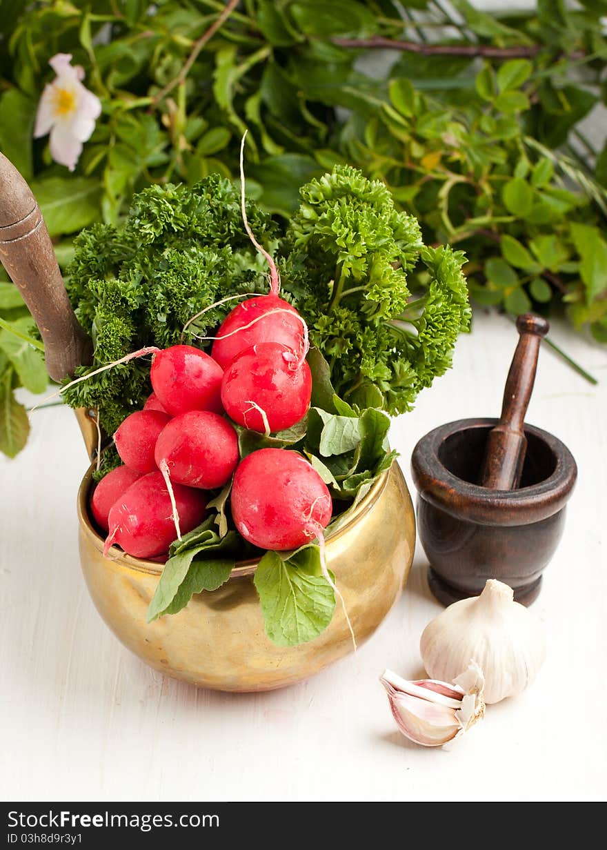 Bunch of fresh radishes in old golden bowl with garlic, parsley and vintage mortar on white table. Bunch of fresh radishes in old golden bowl with garlic, parsley and vintage mortar on white table