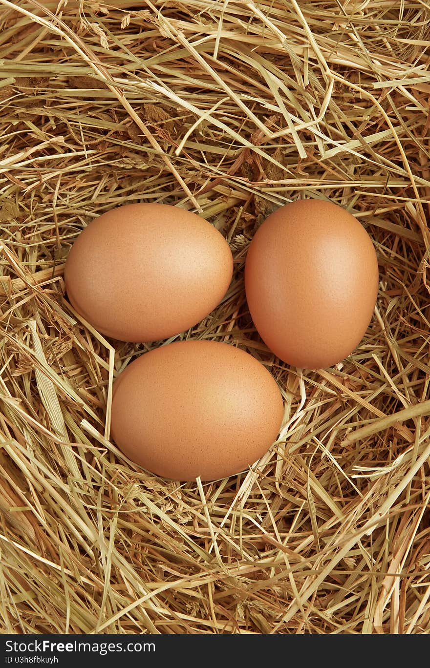 Three Eggs In Nest