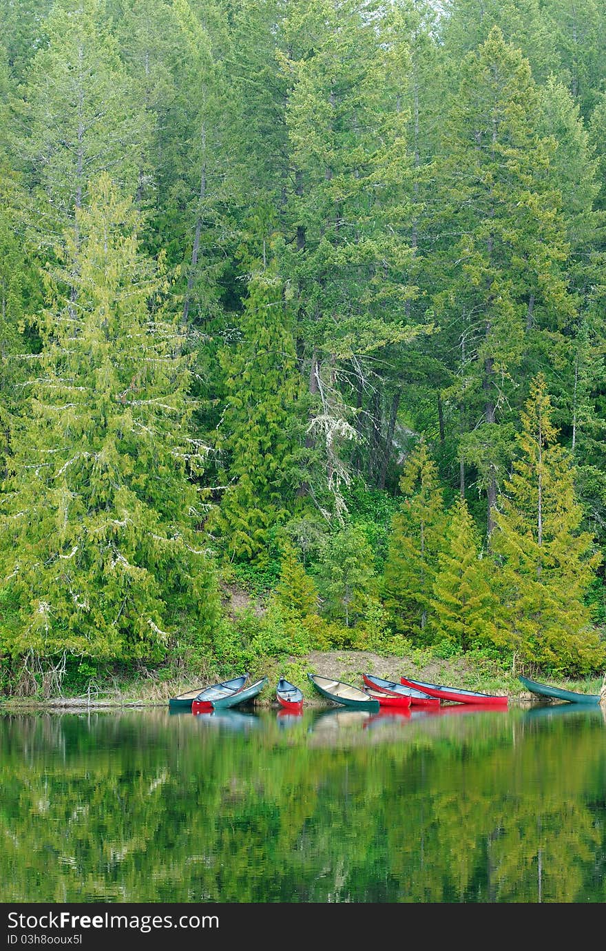 A cluster of canoes, grounded on the green shore of a Canadian river. A cluster of canoes, grounded on the green shore of a Canadian river