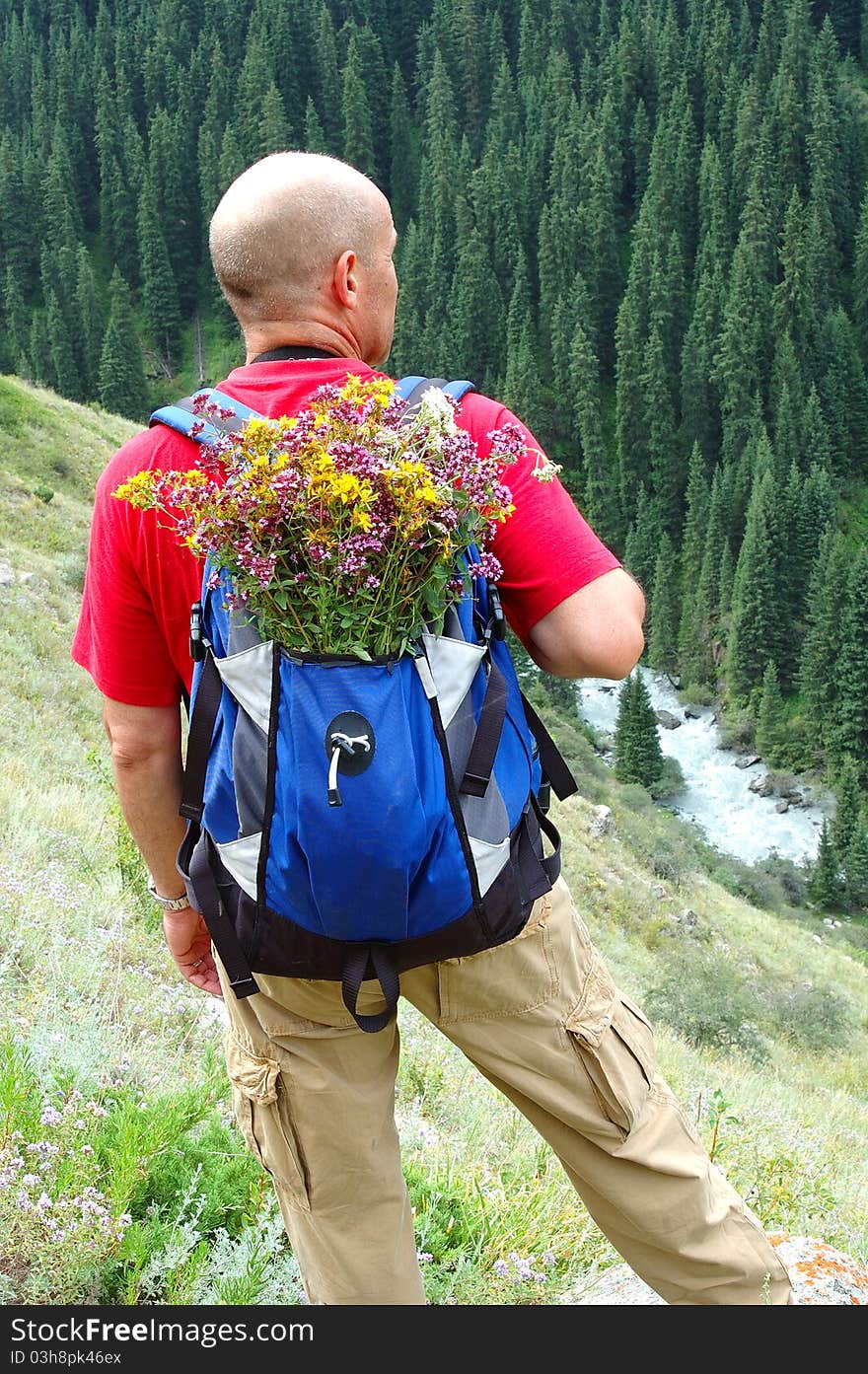 The man the traveller in mountains with a backpack and wild flowers