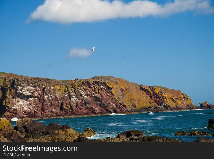 The coastline of st abbs in scotland. The coastline of st abbs in scotland