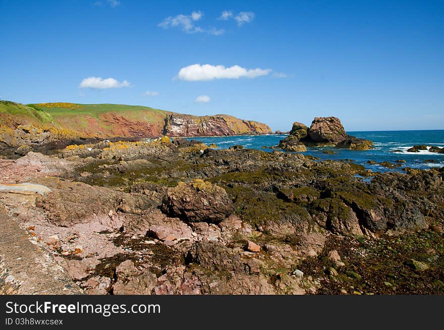 Landscape Of The Coast