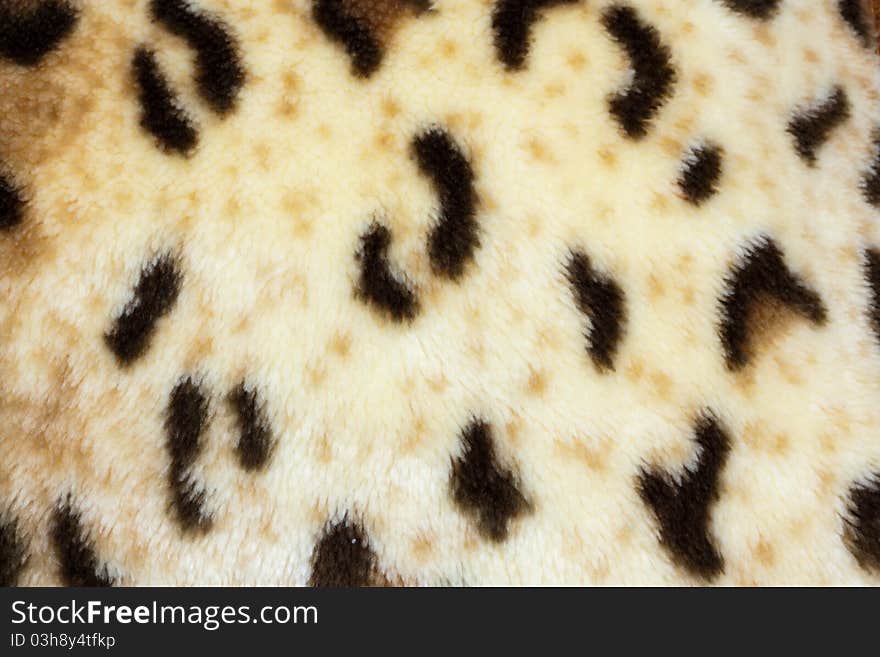 Abstract texture of leopard skin