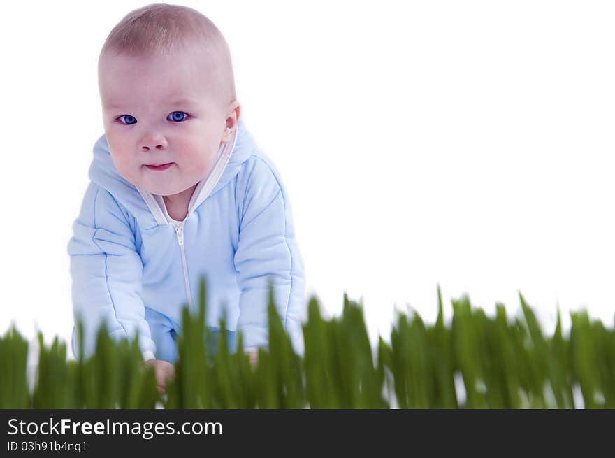 Through the grass. On a white background. Through the grass. On a white background