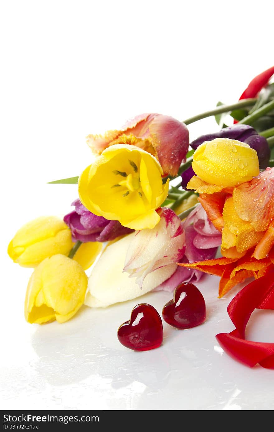 Lovely spring colored tulips with water drops lie in the bouquet in the foreground of the two red glass hearts. Isolated. Lovely spring colored tulips with water drops lie in the bouquet in the foreground of the two red glass hearts. Isolated