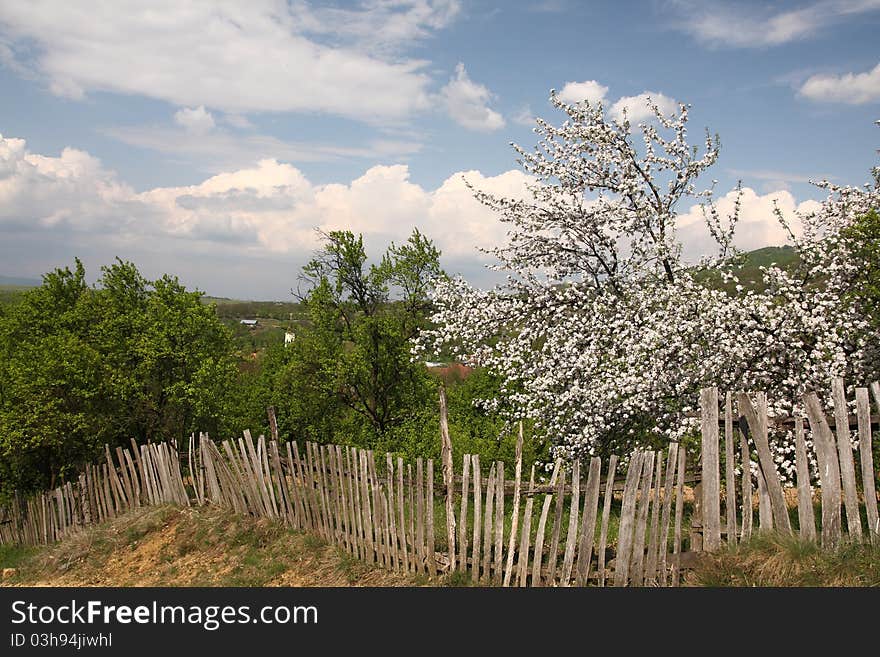 Romanian countryside in the spring with hills