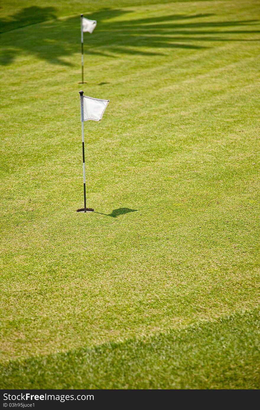 Golf Putting Green and Flag on Florida Golf Course