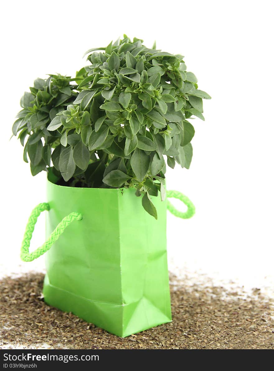 Fresh basil in the green bag