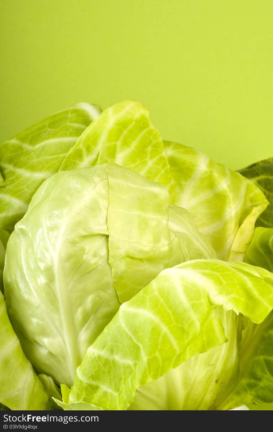 Fresh Cabbage