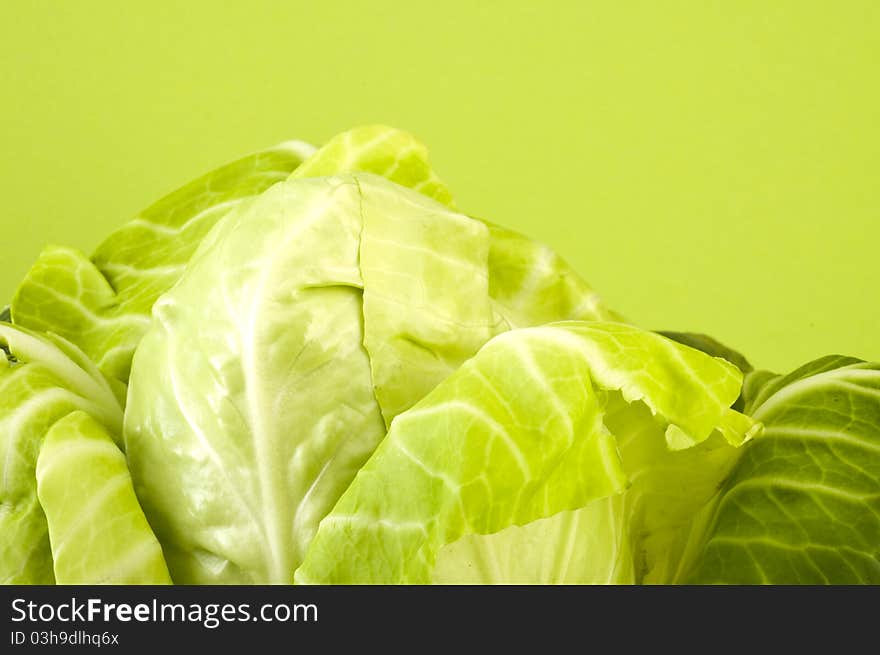 Fresh Cabbage