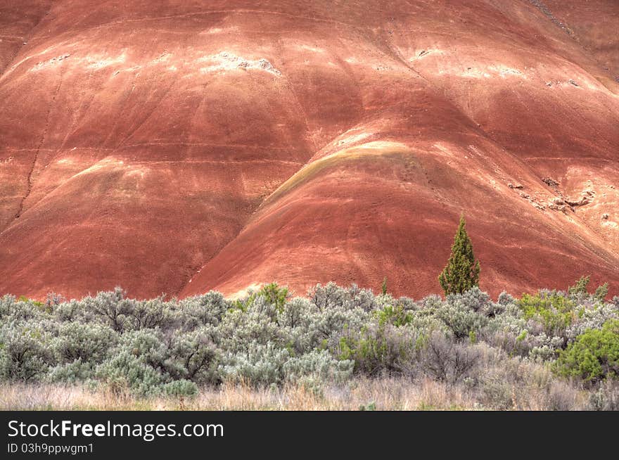 The green and red contrast of the Painted Hills in Oregon. The green and red contrast of the Painted Hills in Oregon.