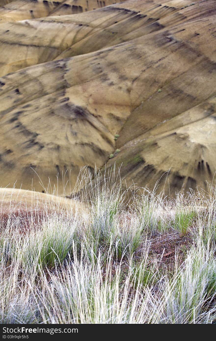 Scenic Image At Painted Hills.