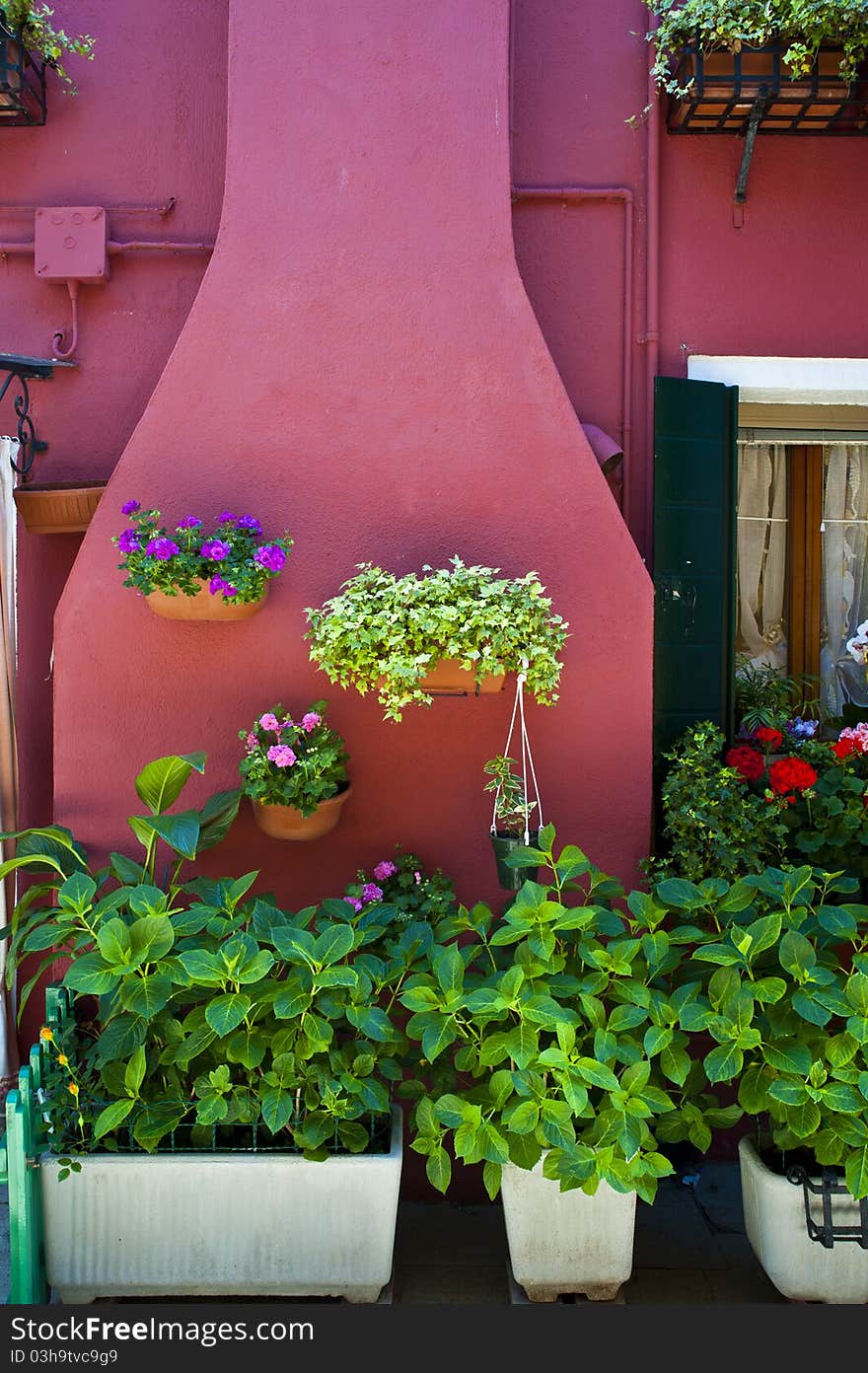 Pink Patio And Garden, Burano, Italy