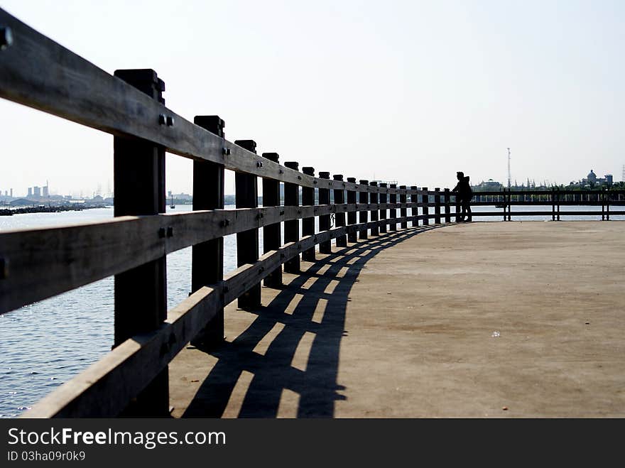 Beach fence