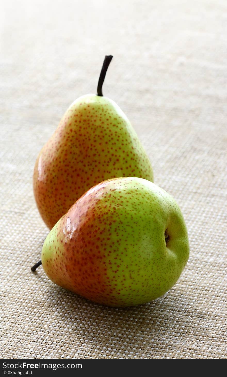 Two large beautiful multi-coloured pears close up