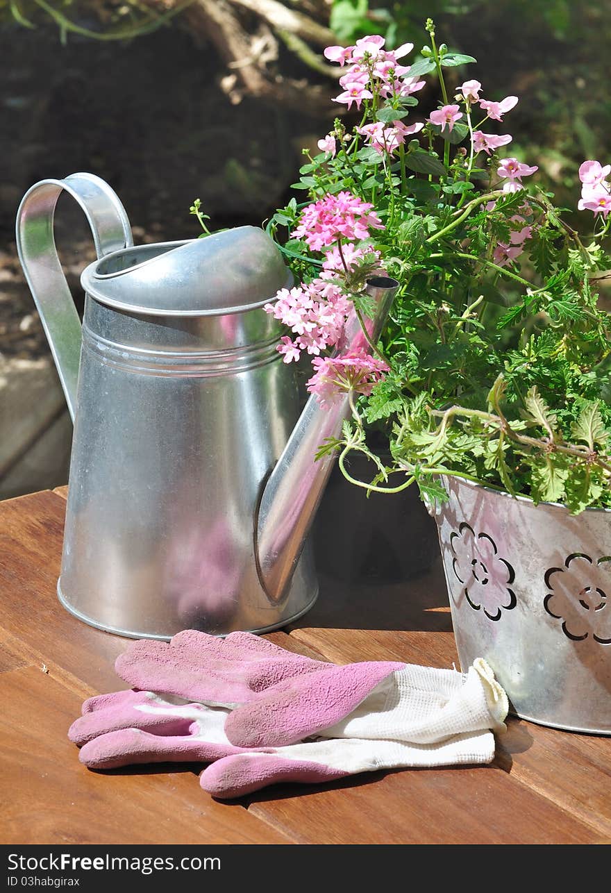 Verbena pot and gardening gloves pink