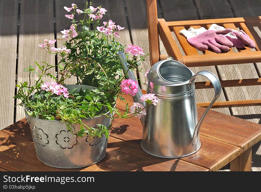 Verbena in a metal pot and gardening gloves pink on a wooden table. Verbena in a metal pot and gardening gloves pink on a wooden table