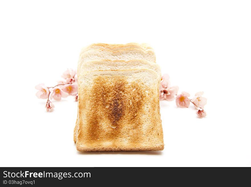 Toasted white bread and with flowering branch