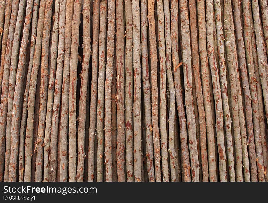 Fresh cut logs of wood in a saw mill