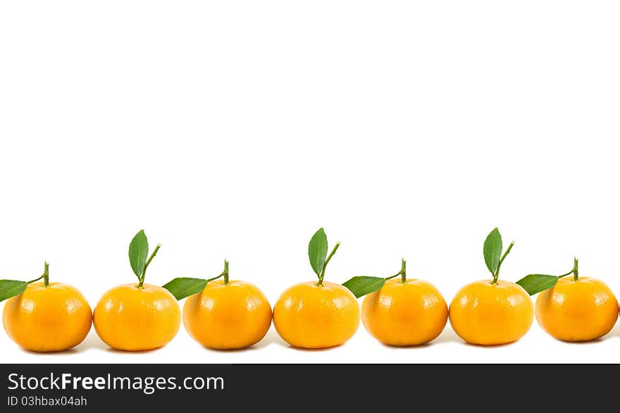 Oranges isolated on white background