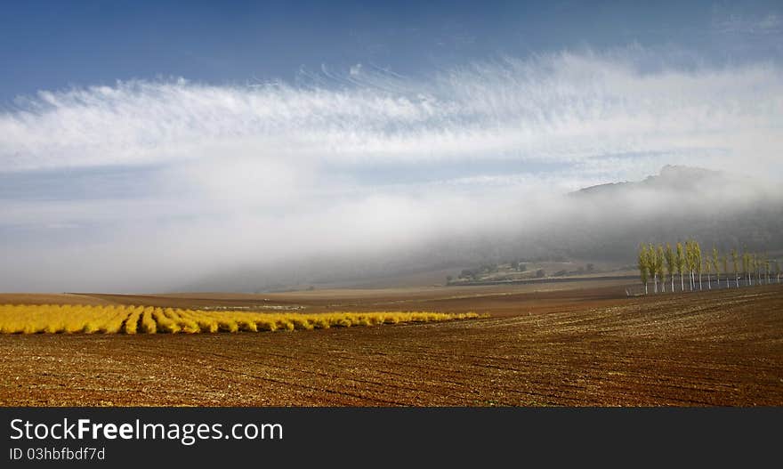 Agricultural and fog