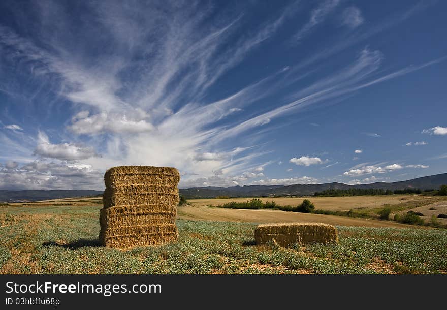 Summertime in field and clouds. Summertime in field and clouds