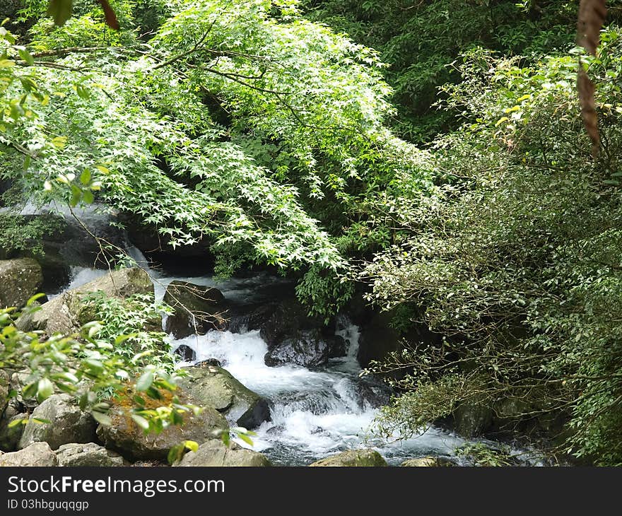 A river scene with rocks