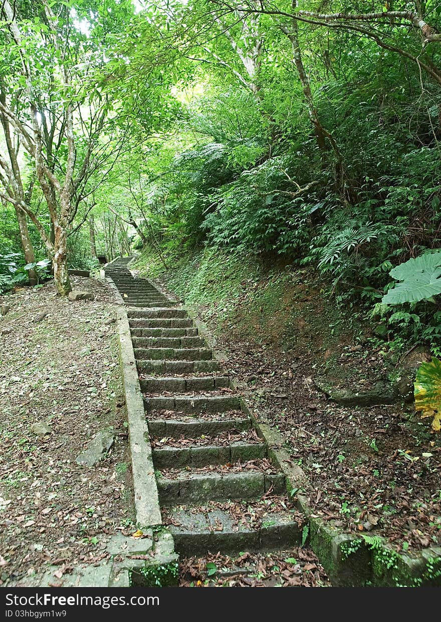 A stone stairway in the park of forest. A stone stairway in the park of forest