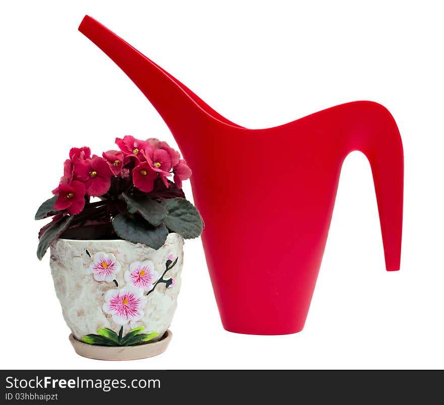 Red watering can and flower in a pot