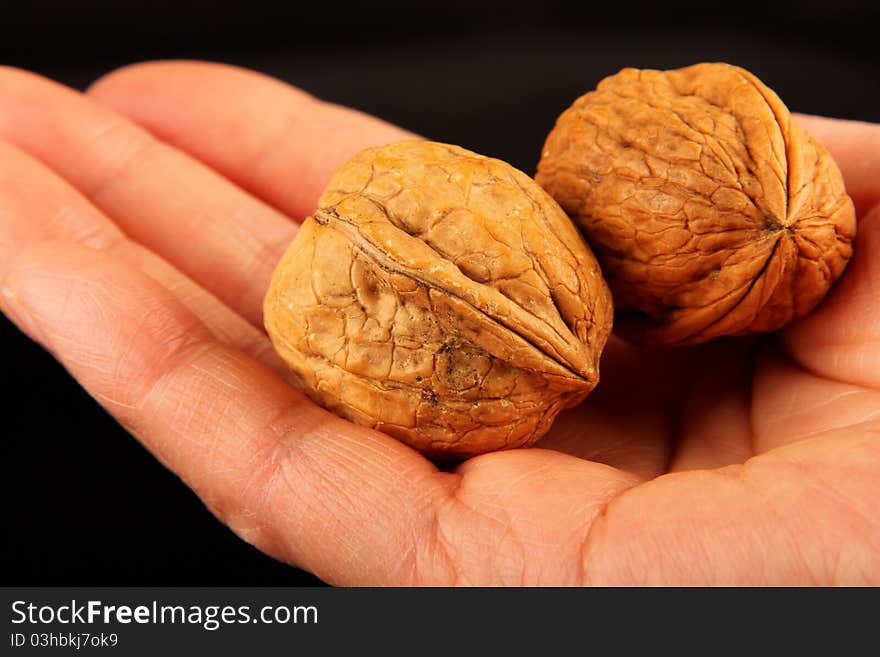 Hand holding Walnuts. Close up on black reflecting background