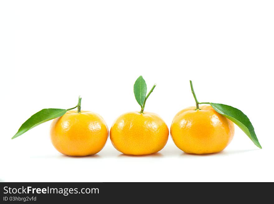 Oranges isolated on white background